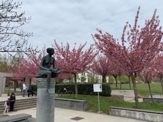 navje_sakura